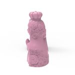 Molde de Silicone Nossa Senhora Orando 6cm 3D