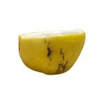 Molde de Silicone Maracuja Realista
