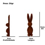 Molde de Silicone Coelho 3D com Ovo Pascoa