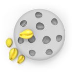 Molde de Silicone com 10 Mini Búzios para Velas