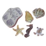 Molde de Silicone Fundo do Mar