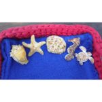 Molde de Silicone Fundo do Mar