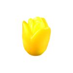 Molde de Silicone Tulipa Inteira Mini