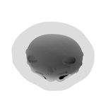 Forma de Silicone Urso / Ursinho Escondido