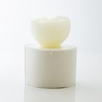 Molde de Silicone Coquinho Pequeno