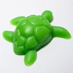 Molde de Silicone Tartaruga