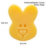 Forma de Silicone Coelho