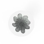 Molde de Silicone Árvore de Natal Pinheiro Folhas- Grande