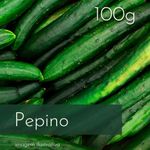 Extrato Fitoglicerinado de Pepino 100g