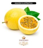 Extrato Glicólico de Maracuja 100g