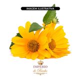 Extrato Glicolico de Calendula 100 g Ativo Natural 