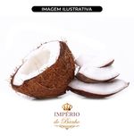 Extrato Glicolico de Coco 100g Ativo Natural Nutritivo