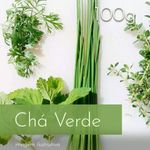 Extrato Fitoglicerinado de Cha Verde 100g Ativo Natural 