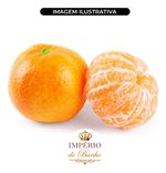 Extrato Glicolico de Tangerina 100g Ativo Natural Adstringente