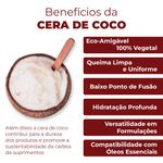 Cera de Coco 100% Vegetal 1Kg