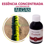 Essência Concentrada Algas - 100Gr