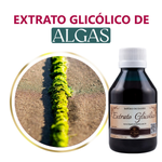 Extrato Glicólico de Algas 100g