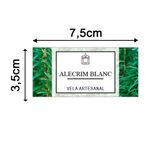 Etiqueta Adesiva Natural e Ervas 7,5x3,5cm - Pacote com 12 unidades