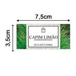 Etiqueta Adesiva Natural e Ervas 7,5x3,5cm - Pacote com 12 unidades