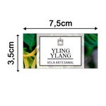 Etiqueta Adesiva Natural e Ervas 7,5x3,5cm - Pacote com 12 unidades