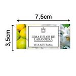 Etiqueta Adesiva Frutas 7,5x3,5cm - Pacote com 12 unidades