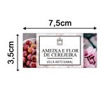 Etiqueta Adesiva Frutas 7,5x3,5cm - Pacote com 12 unidades