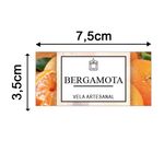 Etiqueta Adesiva Frutas 7,5x3,5cm - Pacote com 12 unidades