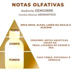 Essência Concentrada Gengibre - Oleosa (Base Dietilfitalato) Para Velas - 100Gr
