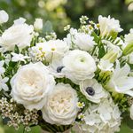 Essência Concentrada Flores Brancas 100 g