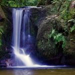 Essência Concentrada Banho de Cachoeira (Inspiração Loccitane) - 100Gr