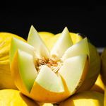 Essência Concentrada Melon POP 100 g
