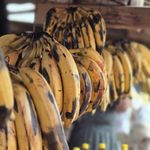 Essência Concentrada Banana da Terra p/ Aromatizador - 100Gr