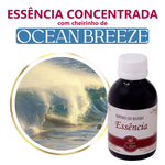 Essência Concentrada Hidrossolúvel Ocean Breeze 100 g