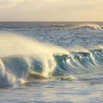 Essência Concentrada Hidrossolúvel Ocean Breeze 100 g