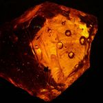 Essência Concentrada Amber LB - 100Gr
