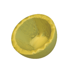 Molde de Silicone Maracuja Realista