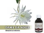 Essência Concentrada Dama da Noite - 10Gr