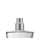 Frasco Vidro Cristal Picolo 100ml (Recrave) + Válvula Spray Várias Cores