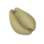 Molde Forma De Silicone Buzio para Sabonete Vela Resina Gesso Cimento Decoração Lembrancinha Artesanal