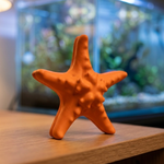 Molde de Silicone Estrela do Mar