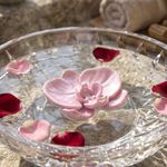 Molde de Silicone Orquídea 1 Cavidade para Sabonete Vela Gesso  Artesanato Resina e Decoração