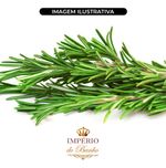 Extrato Glicólico de Alecrim 100g