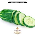 Extrato Glicólico de Pepino 100g
