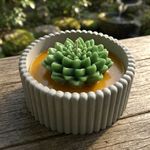 Molde de Silicone Mini Flor de Lotus 3D para Sabonete Vela Resina Biscuit Lembrancinha Artesanal