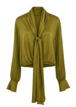 Blusa Echarpe Renata Verde