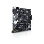 Placa Mae AM4 A520M-K AMD DDR4 NVMe Asus S/CX