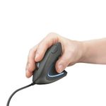 Mouse C/FIO Gamer Ergonômico Vertical RGB D6 Fire Phoenix