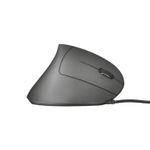 Mouse C/FIO Gamer Ergonômico Vertical RGB D6 Fire Phoenix