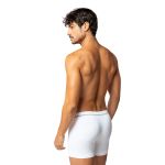 Cueca Boxer Microfibra Lupo