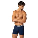 Kit 6 Peças Cueca Boxer Microfibra Lupo